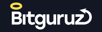 Bitguruz logo